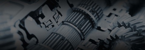 Hai bisogno di una consulenza specializzata? 